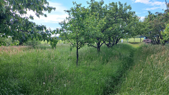 Prodej pozemku 968 m², Bukovina