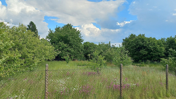 Prodej pozemku 968 m², Bukovina