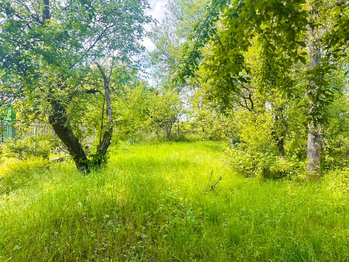 Prodej domu 120 m², Holešov