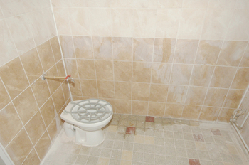 Prodej obchodních prostor 499 m², Hostouň