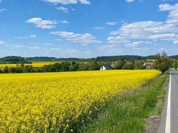 Krásná příroda - Prodej pozemku 2400 m², Všelibice