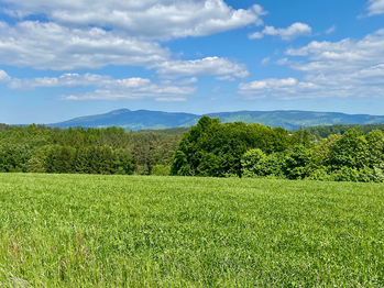 Ještěd nedaleko - Prodej pozemku 2400 m², Všelibice