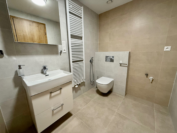 Pronájem bytu 2+kk v osobním vlastnictví 51 m², Plzeň