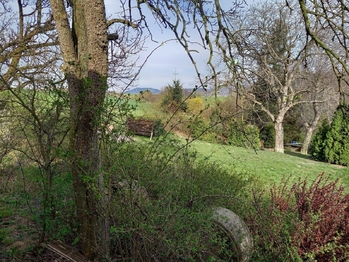 Prodej pozemku 1500 m², Holešov