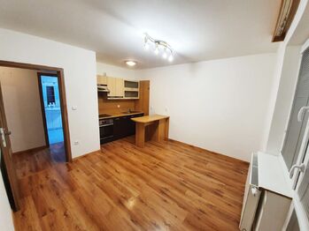 Pronájem bytu 1+1 v družstevním vlastnictví 32 m², Vyškov