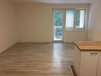 Pronájem bytu 3+kk v osobním vlastnictví 92 m², Praha 9 - Klánovice