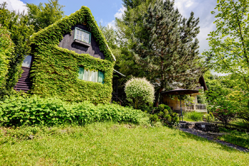 zahrada foto 6 - Prodej chaty / chalupy 54 m², Bílovice nad Svitavou 