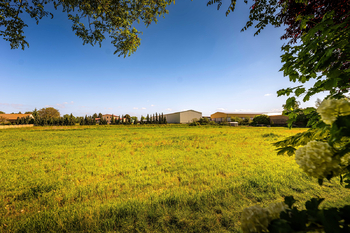 Prodej pozemku 3278 m², Vyšehořovice
