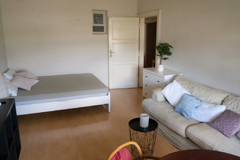 Obývací pokoj s postelí - Pronájem bytu 1+1 v družstevním vlastnictví 38 m², Praha 4 - Nusle