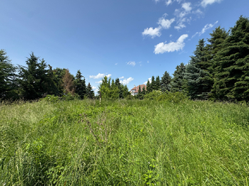 Prodej pozemku 4428 m², Kunovice