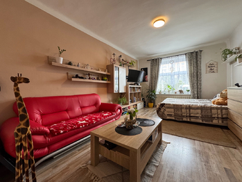 Prodej ubytovacího zařízení 1117 m², Olomouc