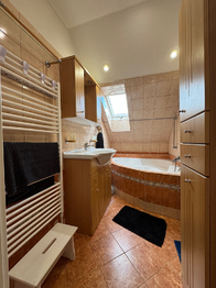 Prodej ubytovacího zařízení 1117 m², Olomouc