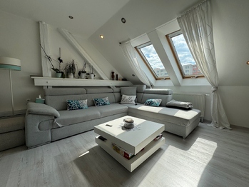 Prodej ubytovacího zařízení 1117 m², Olomouc