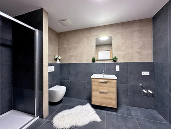 Pronájem bytu 2+kk v osobním vlastnictví 81 m², České Budějovice