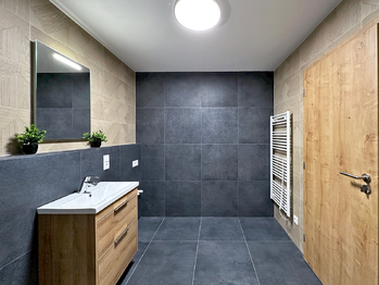 Pronájem bytu 2+kk v osobním vlastnictví 81 m², České Budějovice