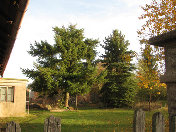 zahrada - Prodej domu 160 m², Voleč
