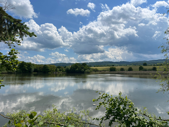 Prodej pozemku 2517 m², Liteň