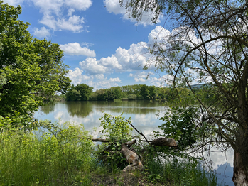Prodej pozemku 2517 m², Liteň