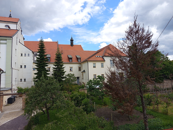 Pronájem bytu 2+kk v osobním vlastnictví 50 m², Znojmo