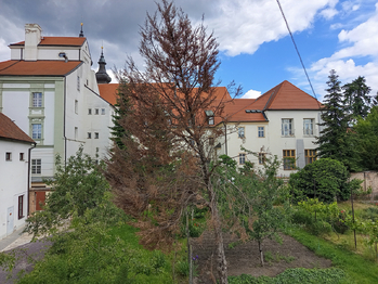 Pronájem bytu 2+kk v osobním vlastnictví 50 m², Znojmo