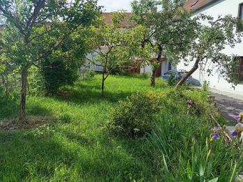 Pronájem bytu 2+kk v osobním vlastnictví 50 m², Znojmo