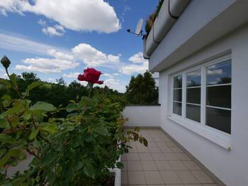 Pronájem bytu 4+1 v osobním vlastnictví 114 m², Praha 4 - Chodov