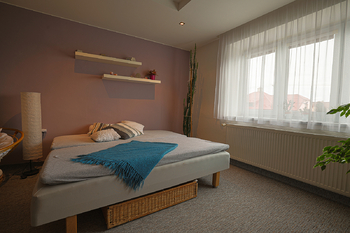 Prodej domu 600 m², Němčice
