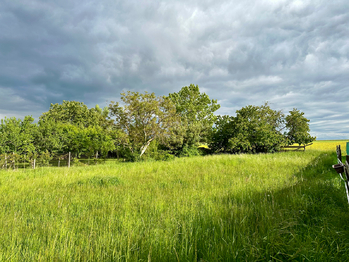 Prodej pozemku 1472 m², Dolní Lažany