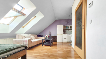 Pronájem bytu 1+kk v osobním vlastnictví 46 m², Praha 7 - Holešovice