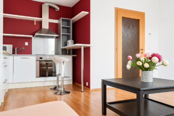 Pronájem bytu 1+kk v osobním vlastnictví 46 m², Praha 7 - Holešovice