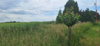 Prodej pozemku 1586 m², Drnovice