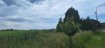 Prodej pozemku 1586 m², Drnovice