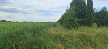 Prodej pozemku 1586 m², Drnovice