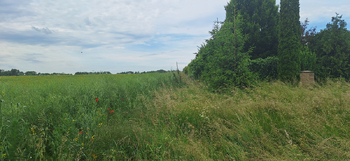 Prodej pozemku 1586 m², Drnovice