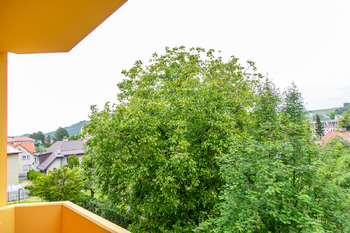 Prodej bytu 2+1 v družstevním vlastnictví 56 m², Zubří