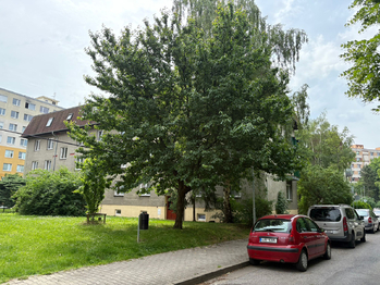 Prodej bytu 2+1 v osobním vlastnictví 53 m², Lovosice