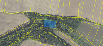 370/27 - Prodej pozemku 28316 m², Horoušany