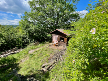 Prodej chaty / chalupy 22 m², Hlásná Třebaň