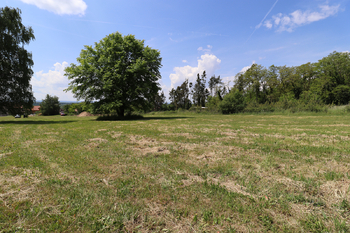 Pohled na pozemek - Prodej pozemku 1738 m², Brambory