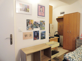 Pronájem bytu 1+kk v osobním vlastnictví 46 m², Karlovy Vary