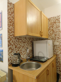 Pronájem bytu 1+kk v osobním vlastnictví 46 m², Karlovy Vary