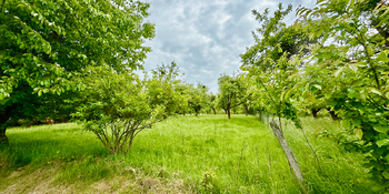 Prodej pozemku 8311 m², Odry