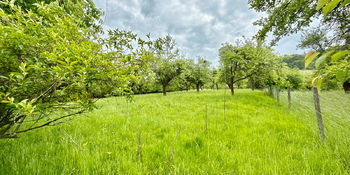 Prodej pozemku 8311 m², Odry