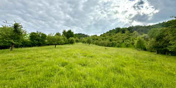 Prodej pozemku 8311 m², Odry