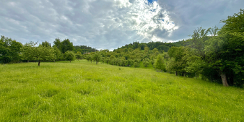 Prodej pozemku 8311 m², Odry