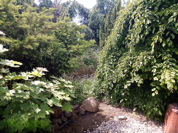 Prodej domu 206 m², Šumná