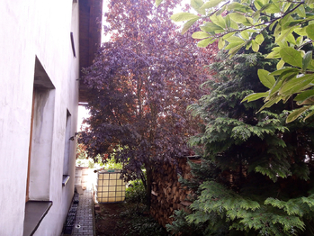 Prodej domu 206 m², Šumná