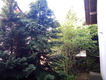 Prodej domu 206 m², Šumná