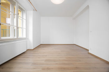 Pokoj - Pronájem bytu 1+1 v osobním vlastnictví 46 m², Praha 3 - Žižkov