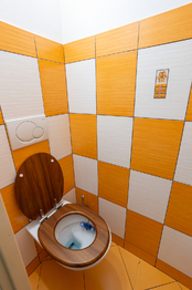 Záchod patro - Prodej domu 170 m², Mladé Buky